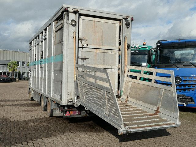 Bannas AT 24.83, 3 Etagen, Schweine, Liftachse - Dyretransport tilhenger: bilde 5 Bannas AT 24.83, 3 Etagen, Schweine, Liftachse - Dyretransport tilhenger: bilde 5