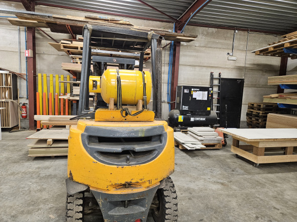 Chariot élévateur frontal au gaz Jungheirich TFG 25BK - Gasstruck: bilde 2 Chariot élévateur frontal au gaz Jungheirich TFG 25BK - Gasstruck: bilde 2