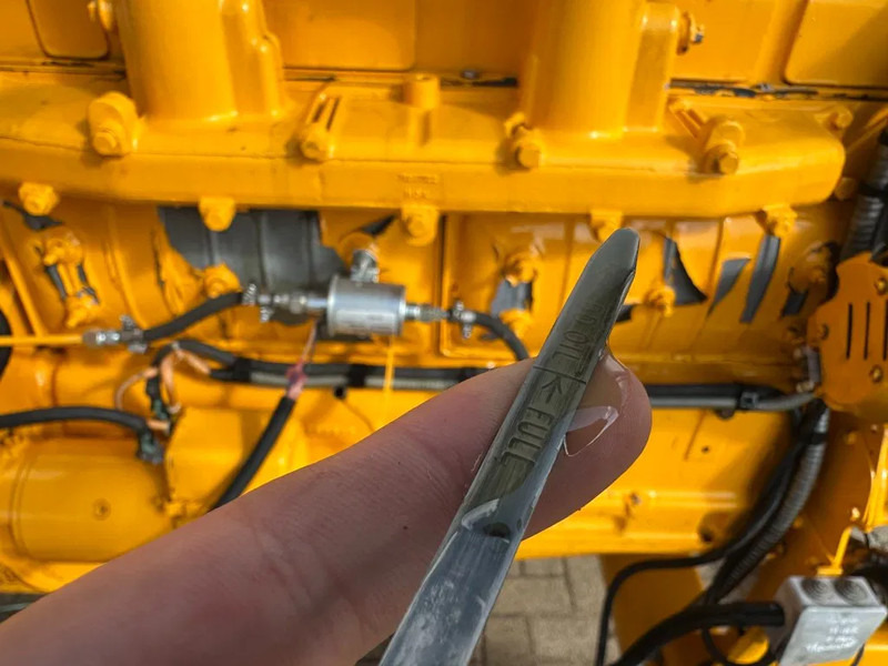 Ford Leroy Somer 80 kVA noodstroom generatorset ex Emergency 119 hours ! - Elektrisk generator: bilde 3 Ford Leroy Somer 80 kVA noodstroom generatorset ex Emergency 119 hours ! - Elektrisk generator: bilde 3