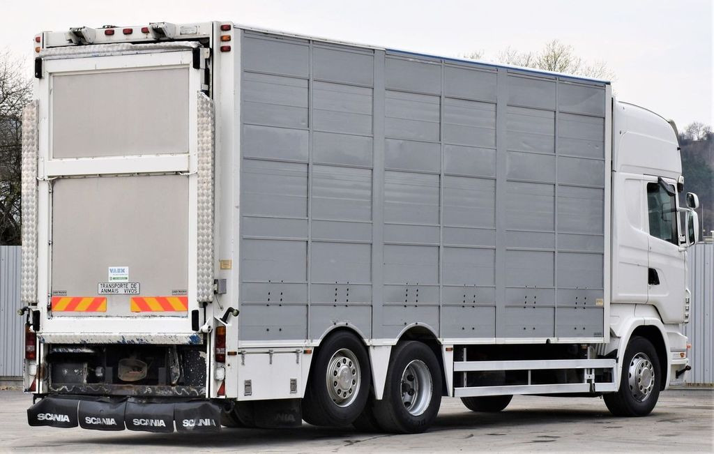 Scania R 500 TIERTRANSPORTWAGEN 7,10m / 4STOCK Scania R 500 TIERTRANSPORTWAGEN 7,10m / 4STOCK - Dyretransport lastebil: bilde 5 Scania R 500 TIERTRANSPORTWAGEN 7,10m / 4STOCK Scania R 500 TIERTRANSPORTWAGEN 7,10m / 4STOCK - Dyretransport lastebil: bilde 5