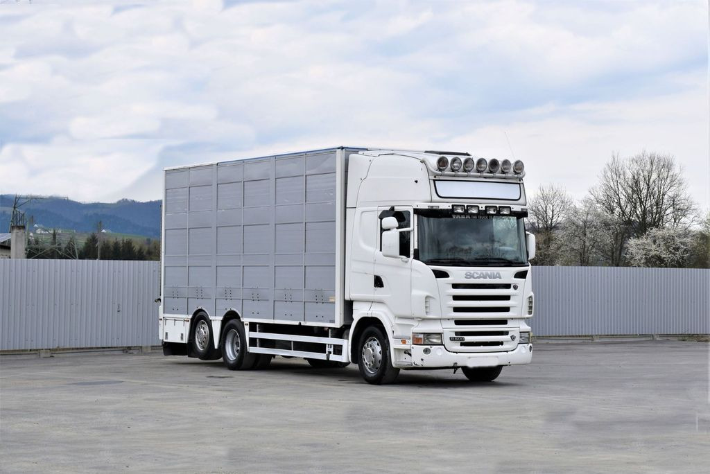 Scania R 500 TIERTRANSPORTWAGEN 7,10m / 4STOCK Scania R 500 TIERTRANSPORTWAGEN 7,10m / 4STOCK - Dyretransport lastebil: bilde 2 Scania R 500 TIERTRANSPORTWAGEN 7,10m / 4STOCK Scania R 500 TIERTRANSPORTWAGEN 7,10m / 4STOCK - Dyretransport lastebil: bilde 2