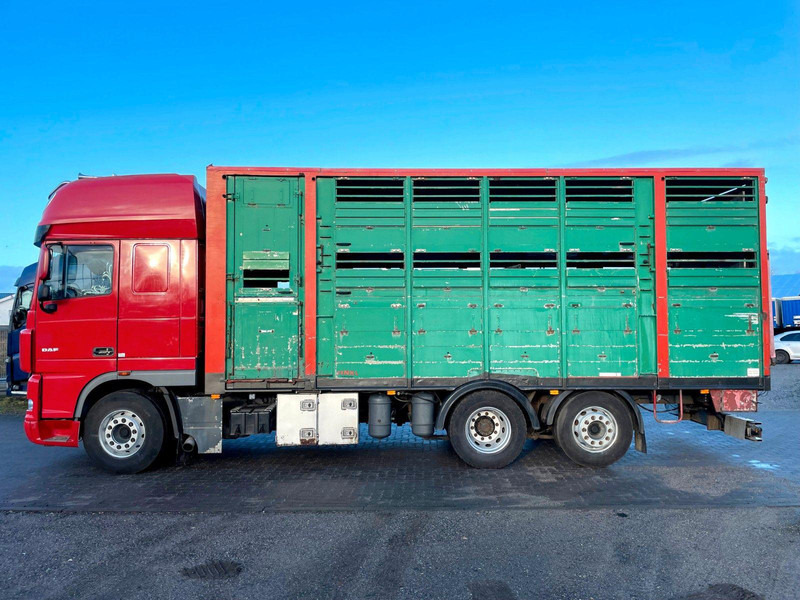 DAF XF 105.460 2-Stock Finkl Viehaufbau / Lenkachs - Dyretransport lastebil: bilde 5 DAF XF 105.460 2-Stock Finkl Viehaufbau / Lenkachs - Dyretransport lastebil: bilde 5