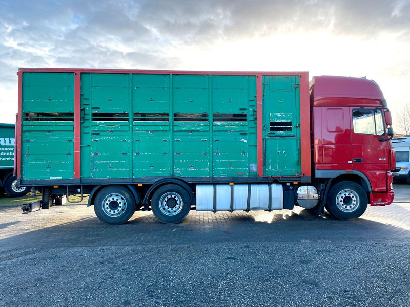 DAF XF 105.460 2-Stock Finkl Viehaufbau / Lenkachs - Dyretransport lastebil: bilde 4 DAF XF 105.460 2-Stock Finkl Viehaufbau / Lenkachs - Dyretransport lastebil: bilde 4