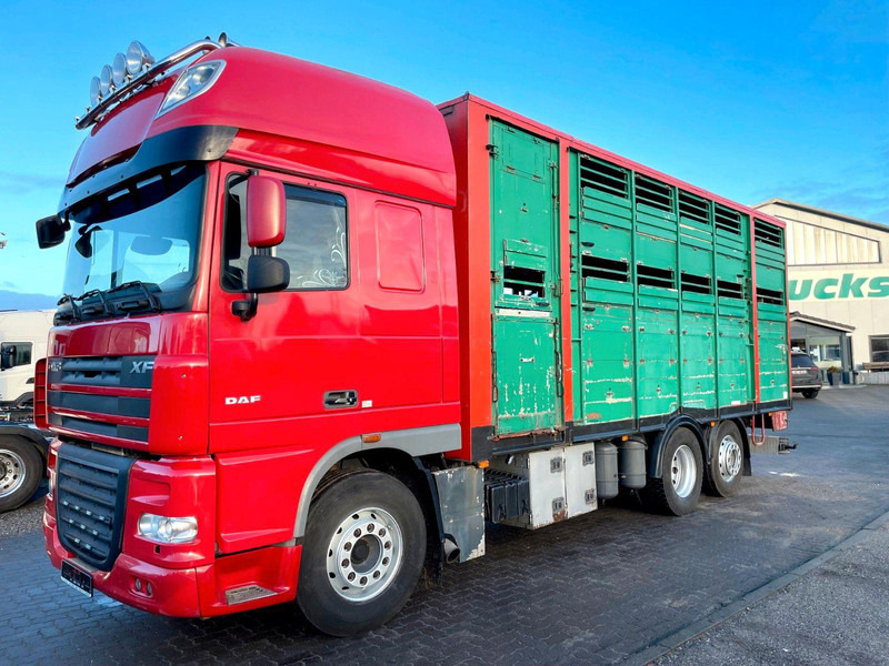 DAF XF 105.460 2-Stock Finkl Viehaufbau / Lenkachs - Dyretransport lastebil: bilde 2 DAF XF 105.460 2-Stock Finkl Viehaufbau / Lenkachs - Dyretransport lastebil: bilde 2