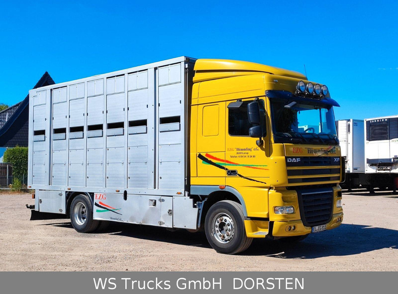 DAF XF410 Menke Doppelstock - Dyretransport lastebil: bilde 4 DAF XF410 Menke Doppelstock - Dyretransport lastebil: bilde 4