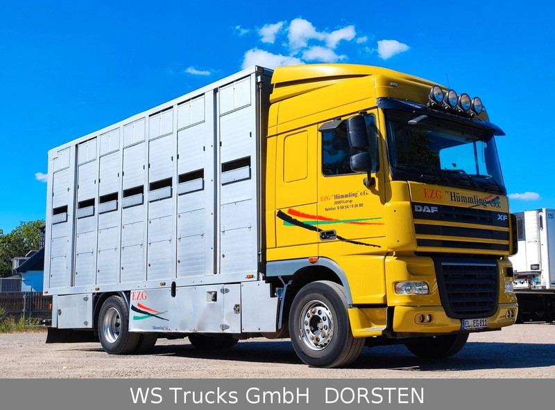 DAF XF410 Menke Doppelstock - Dyretransport lastebil: bilde 3 DAF XF410 Menke Doppelstock - Dyretransport lastebil: bilde 3