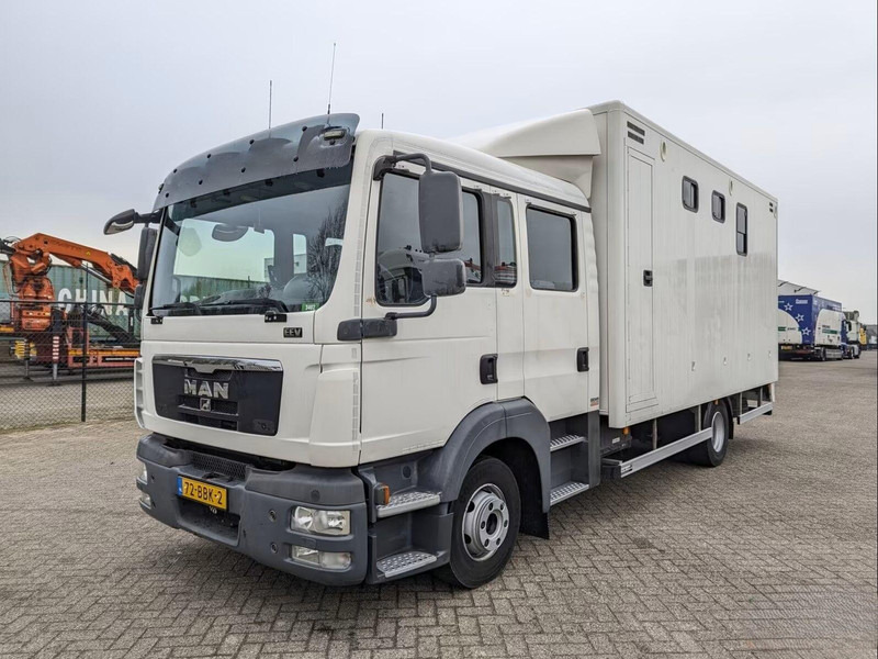 MAN TGL 12.180 - Doka Horse transporter - Hestebil: bilde 1 MAN TGL 12.180 - Doka Horse transporter - Hestebil: bilde 1