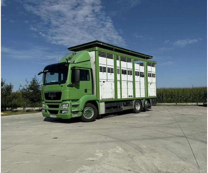 MAN TGS 26.440 Livestock Transporter - Three Deck - Dyretransport lastebil: bilde 5 MAN TGS 26.440 Livestock Transporter - Three Deck - Dyretransport lastebil: bilde 5