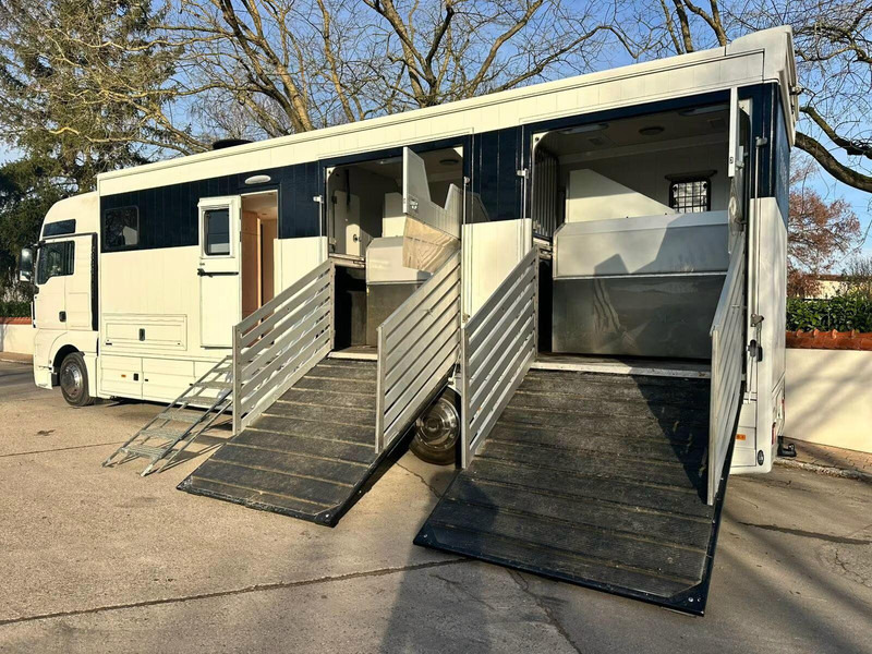 MAN TGX 26.440 - Horse transporter - Hestebil: bilde 5 MAN TGX 26.440 - Horse transporter - Hestebil: bilde 5