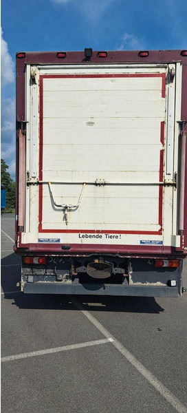 Mercedes-Benz Actros 1851 - Dyretransport lastebil: bilde 5 Mercedes-Benz Actros 1851 - Dyretransport lastebil: bilde 5