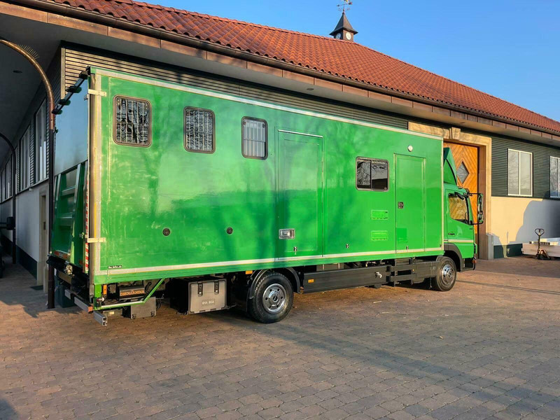 Mercedes-Benz Atego 1018 - Horse transporter - Hestebil: bilde 5 Mercedes-Benz Atego 1018 - Horse transporter - Hestebil: bilde 5