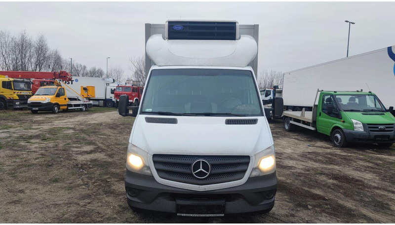 Mercedes-Benz Sprinter 316 cdi - Carrier Xarios 500 frigo - 3,5t - 220V - Kjølebil: bilde 5 Mercedes-Benz Sprinter 316 cdi - Carrier Xarios 500 frigo - 3,5t - 220V - Kjølebil: bilde 5