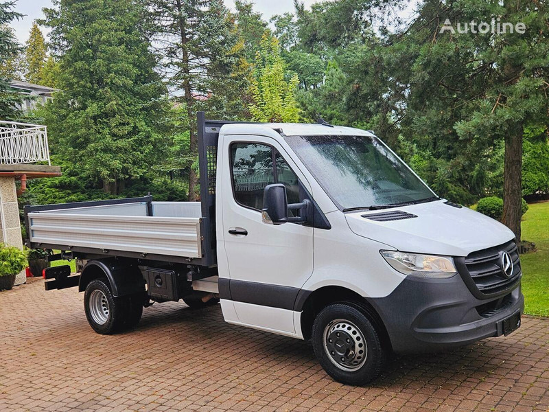 Mercedes-Benz Sprinter 51 9 CDI 3 way tipper - Varebil med tipp: bilde 3 Mercedes-Benz Sprinter 51 9 CDI 3 way tipper - Varebil med tipp: bilde 3