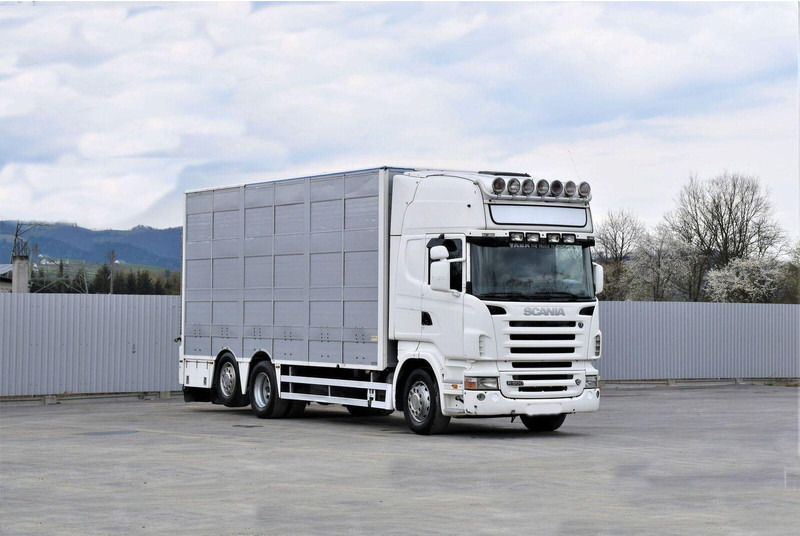 Scania R 500 - Dyretransport lastebil: bilde 2 Scania R 500 - Dyretransport lastebil: bilde 2