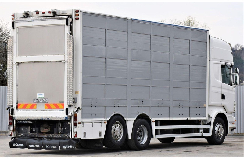 Scania R 500 - Dyretransport lastebil: bilde 5 Scania R 500 - Dyretransport lastebil: bilde 5