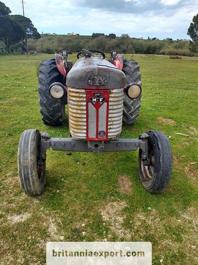 MASSEY FERGUSON 65 | 4 cylinder diesel | disc brakes - Traktor: bilde 2 MASSEY FERGUSON 65 | 4 cylinder diesel | disc brakes - Traktor: bilde 2