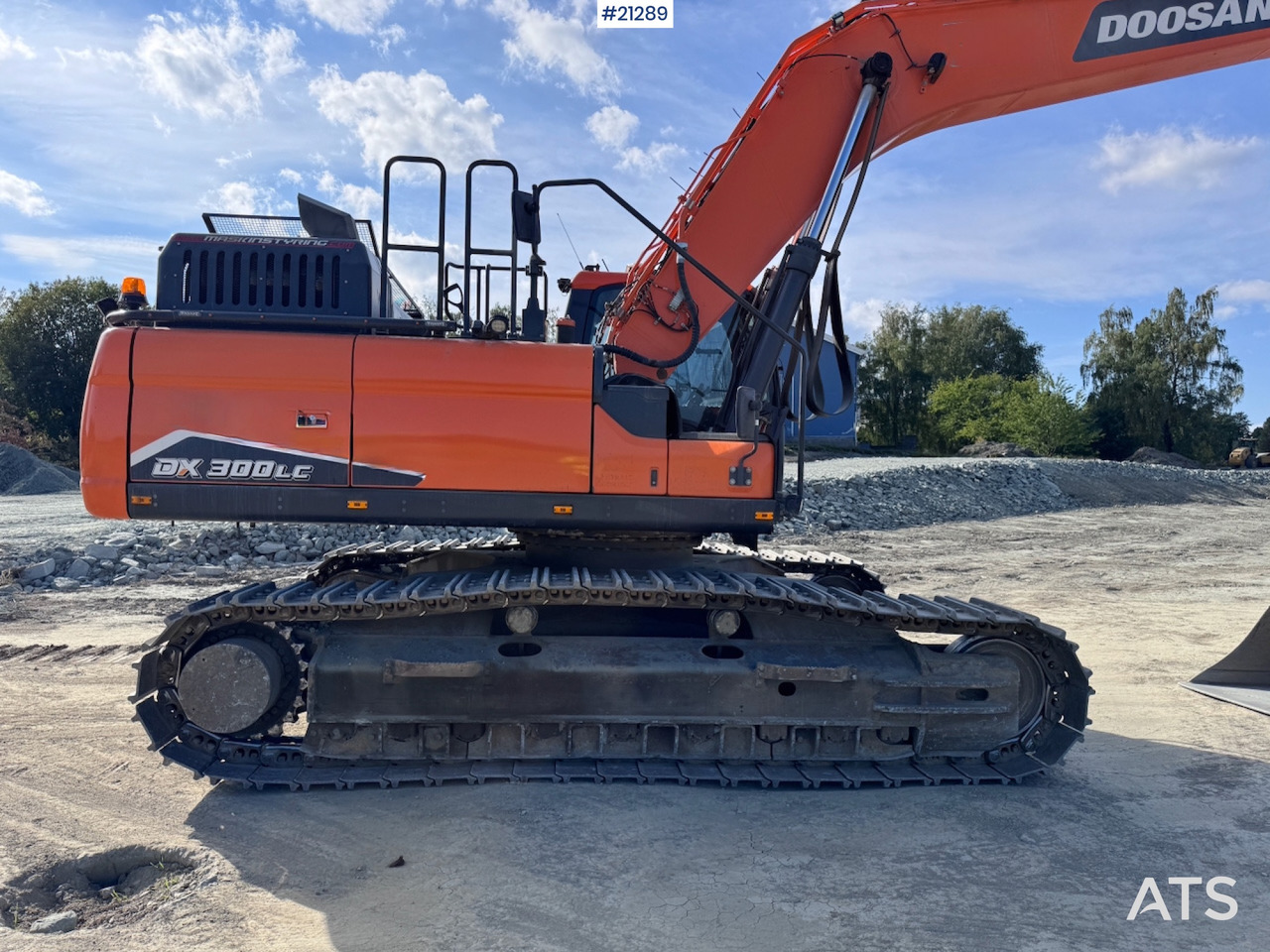 Leie Doosan DX-300LC7 Doosan DX-300LC7: bilde 13