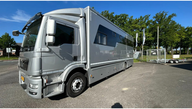 Hestebil MAN TGM 15.250 5 horses and living brand Krismar: bilde 13