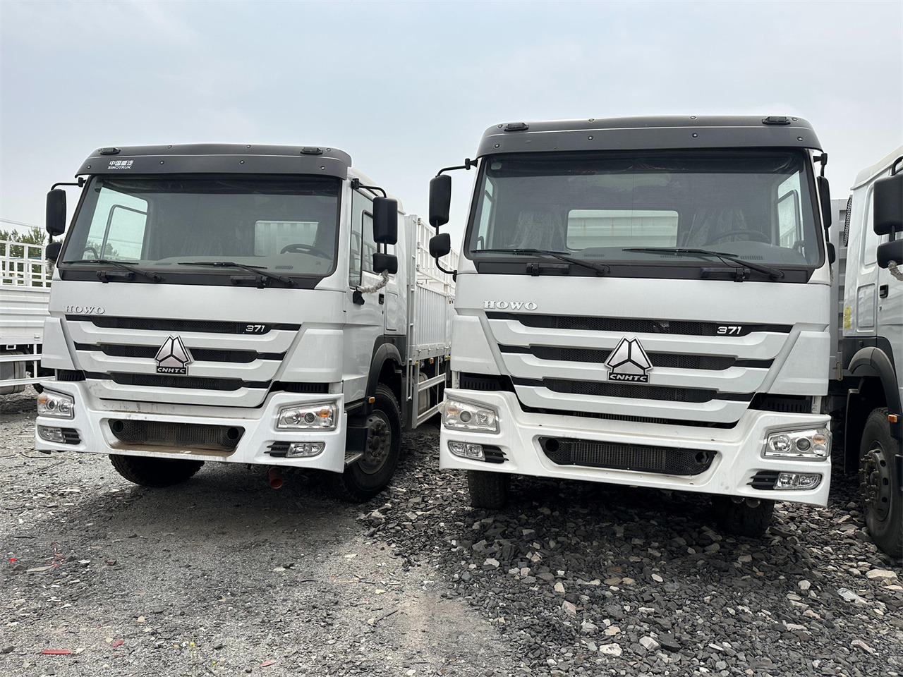 SINOTRUK HOWO 371 Cargo truck - Dyretransport lastebil: bilde 1 SINOTRUK HOWO 371 Cargo truck - Dyretransport lastebil: bilde 1
