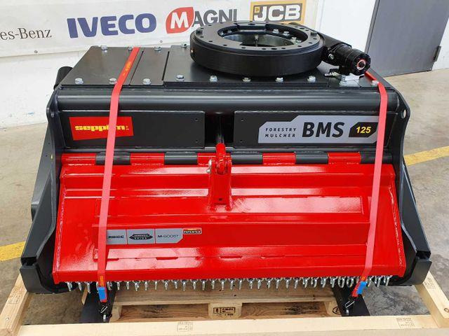 Seppi M. BMS 125 / 13-30t Forstmulcher Drehmotor - Krattknuser: bilde 2 Seppi M. BMS 125 / 13-30t Forstmulcher Drehmotor - Krattknuser: bilde 2