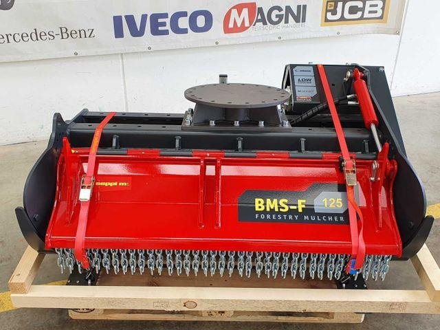 Seppi M. BMS-F 125 Forstmulcher / NEU / lagernd - Krattknuser: bilde 2 Seppi M. BMS-F 125 Forstmulcher / NEU / lagernd - Krattknuser: bilde 2