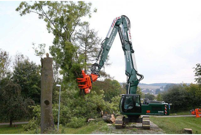 Westtech CS780 / Greifersäge / Fällkopf / sofort - Hogstaggregat: bilde 3 Westtech CS780 / Greifersäge / Fällkopf / sofort - Hogstaggregat: bilde 3