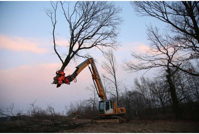 Westtech CS780 / Greifersäge / Fällkopf / sofort - Hogstaggregat: bilde 5 Westtech CS780 / Greifersäge / Fällkopf / sofort - Hogstaggregat: bilde 5