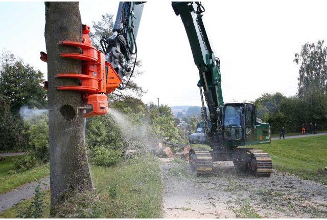 Westtech CS780 / Greifersäge / Fällkopf / sofort - Hogstaggregat: bilde 4 Westtech CS780 / Greifersäge / Fällkopf / sofort - Hogstaggregat: bilde 4