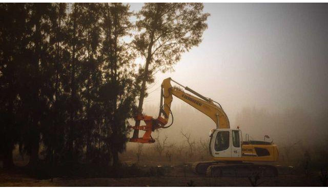 Westtech Woodcracker C550 Fällgreifer Baumschere - Hogstaggregat: bilde 2 Westtech Woodcracker C550 Fällgreifer Baumschere - Hogstaggregat: bilde 2