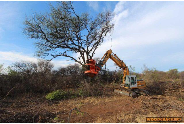 Westtech Woodcracker C550 Fällgreifer Baumschere - Hogstaggregat: bilde 1 Westtech Woodcracker C550 Fällgreifer Baumschere - Hogstaggregat: bilde 1