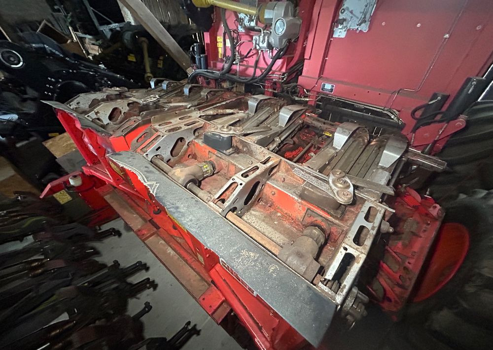 Olimac Drago II - Skjærebord for mais: bilde 5 Olimac Drago II - Skjærebord for mais: bilde 5