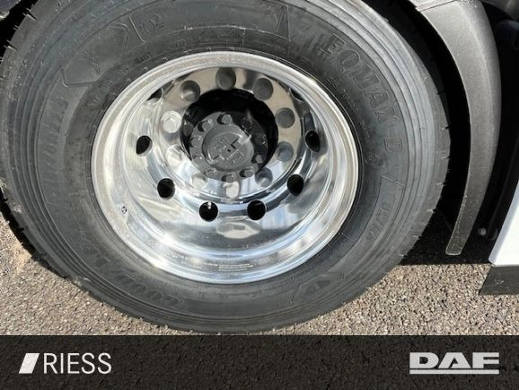 Leie  DAF XG 530 FT Alcoa Leder Vollluft Standklima DAF XG 530 FT Alcoa Leder Vollluft Standklima: bilde 6