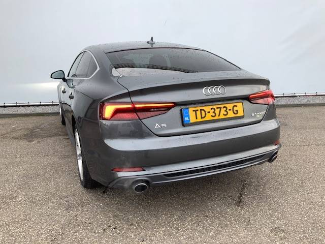 Audi A5 Sportback G-Tron S Line Edition - Sedan: bilde 4 Audi A5 Sportback G-Tron S Line Edition - Sedan: bilde 4