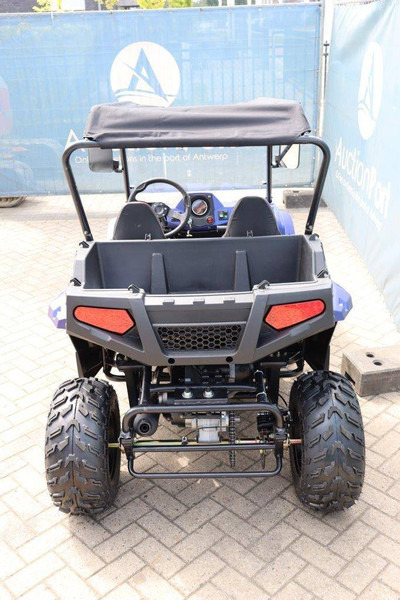 Wextrem UTV-ATV 200Pro - Golfbil: bilde 4 Wextrem UTV-ATV 200Pro - Golfbil: bilde 4