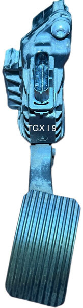 MAN 2019 - Pedal: bilde 2 MAN 2019 - Pedal: bilde 2