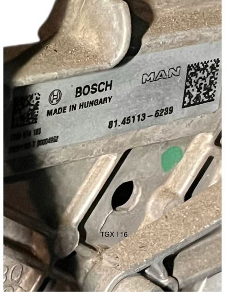 MAN - Rattstamme: bilde 2 MAN - Rattstamme: bilde 2