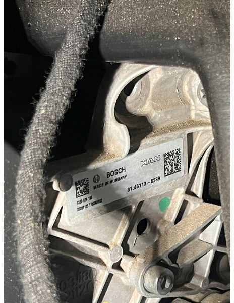 MAN - Rattstamme: bilde 2 MAN - Rattstamme: bilde 2