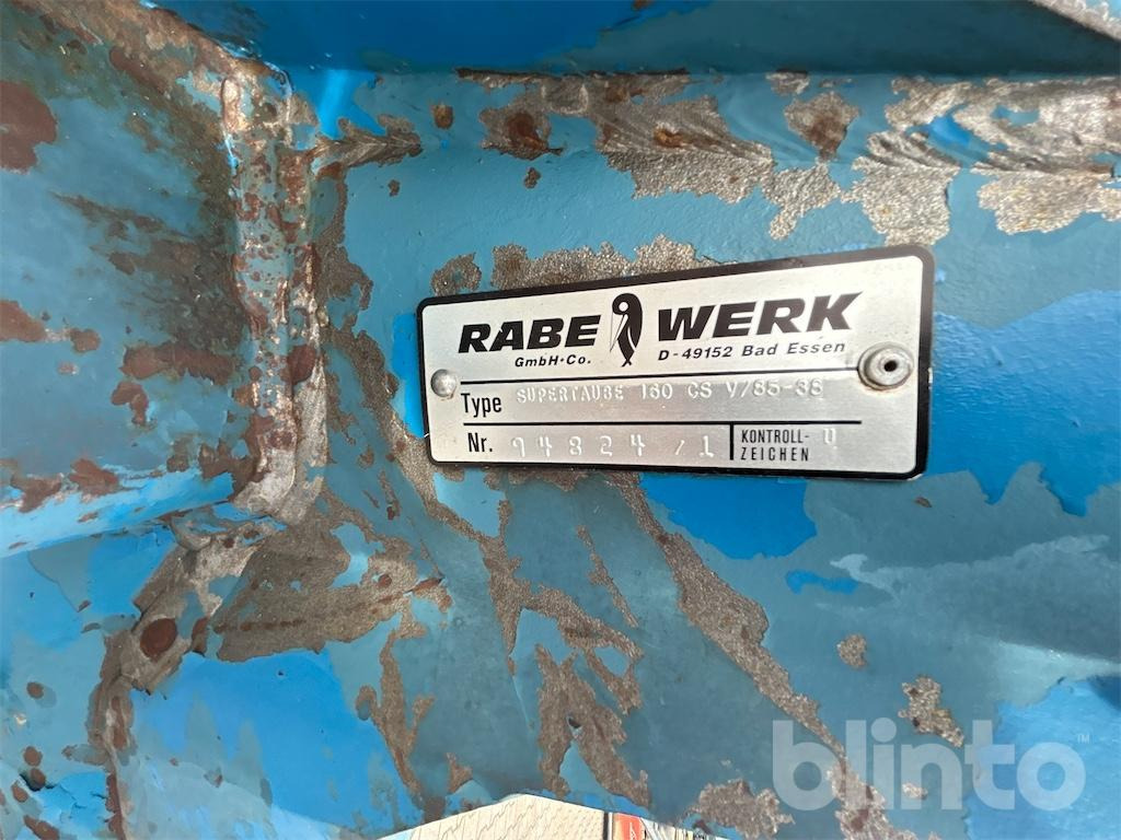 Rabe Supertaube - Plog: bilde 5 Rabe Supertaube - Plog: bilde 5