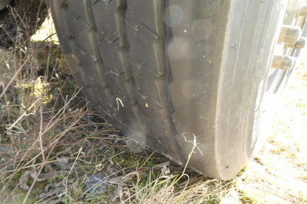 SCHMITZ GOTHA Abrollcontainernanhänger ACF 18 Containeranhänger S -Schlitten - Krokhenger/ Liftdumper henger: bilde 5 SCHMITZ GOTHA Abrollcontainernanhänger ACF 18 Containeranhänger S -Schlitten - Krokhenger/ Liftdumper henger: bilde 5